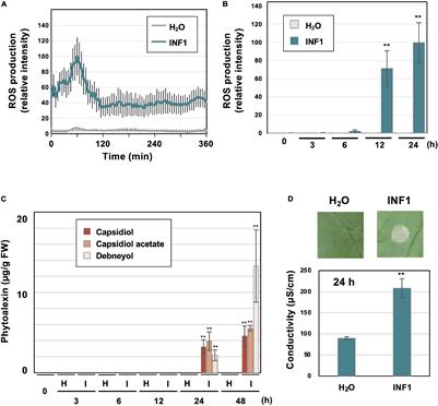 AP2/ERF Transcription Factor NbERF-IX-33 Is Involved in the Regulation of Phytoalexin Production for the Resistance of Nicotiana benthamiana to Phytophthora infestans